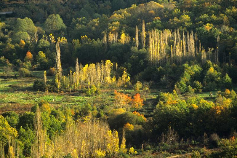 Reserva de la Biosfera sierra de francia 3