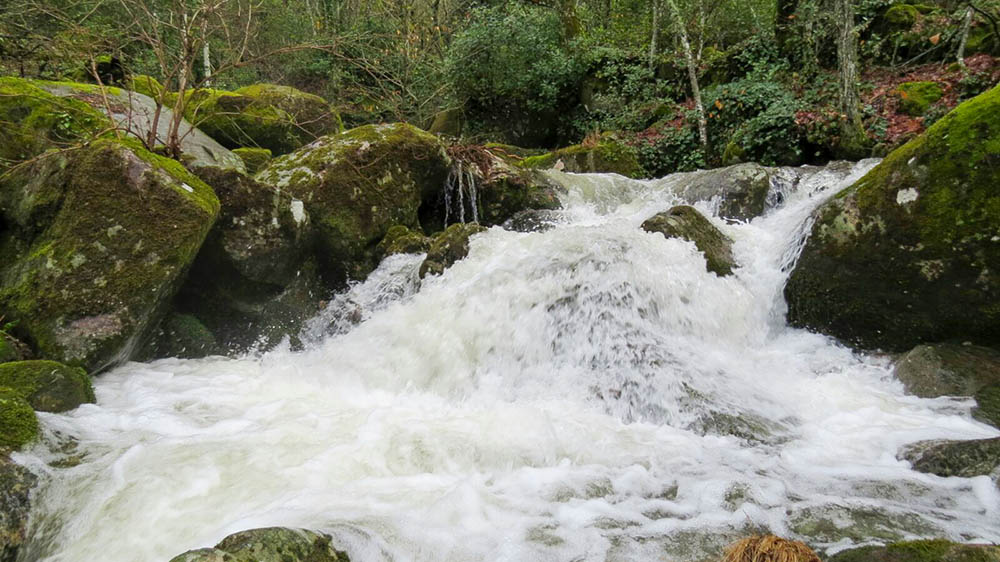 Monforte de la Sierra 7
