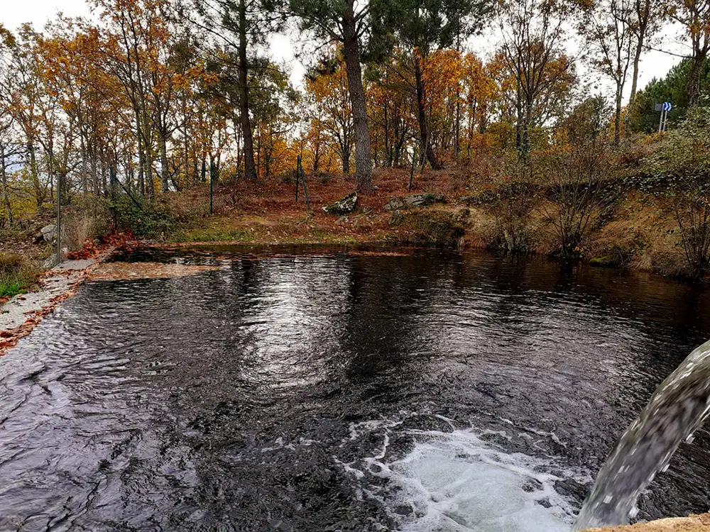 Monforte de la Sierra 5