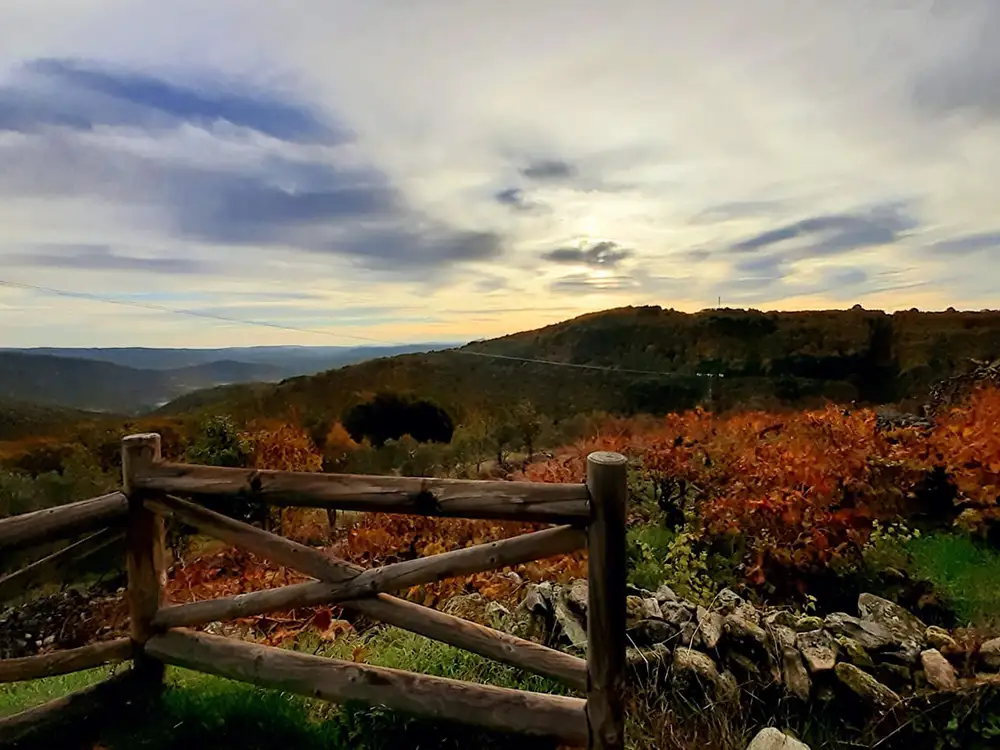 Monforte de la Sierra 4