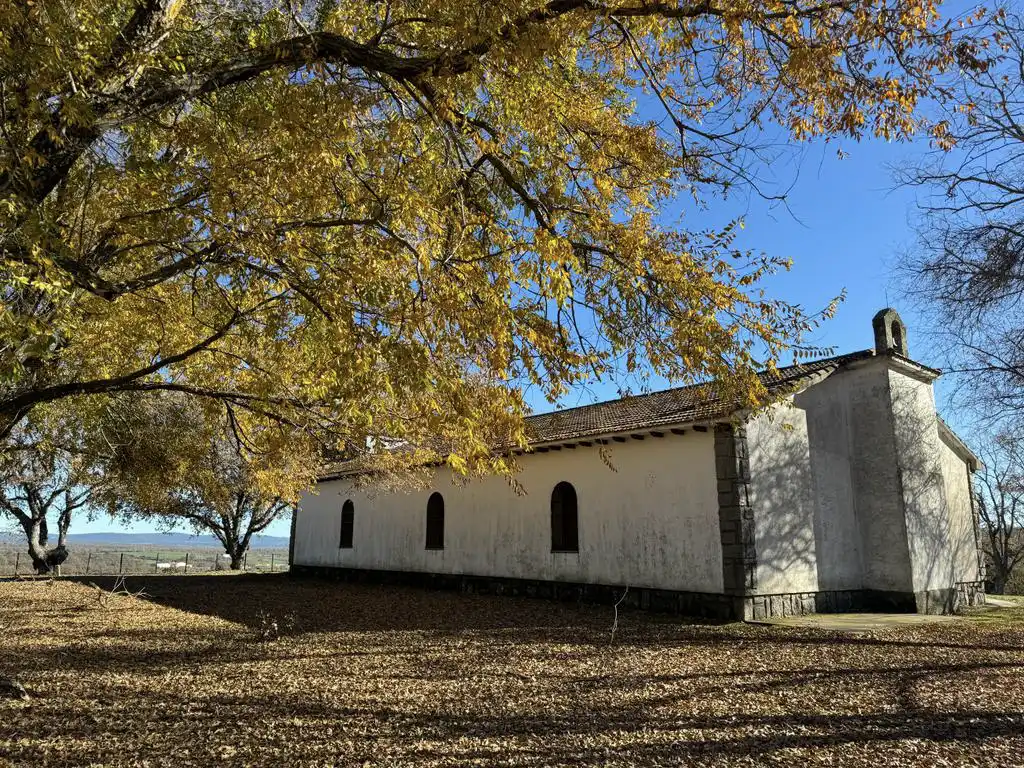 Linares de Riofrío 6