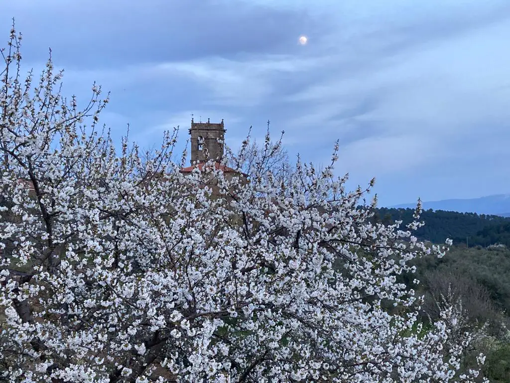 Herguijuela de la Sierra sierra de francia 4