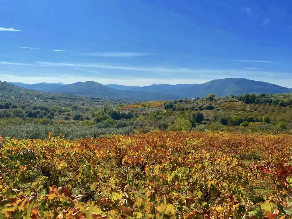 Sotoserrano sierra de francia 6