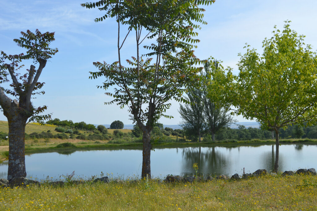 Navarredonda de la Rinconada sierra de francia 6