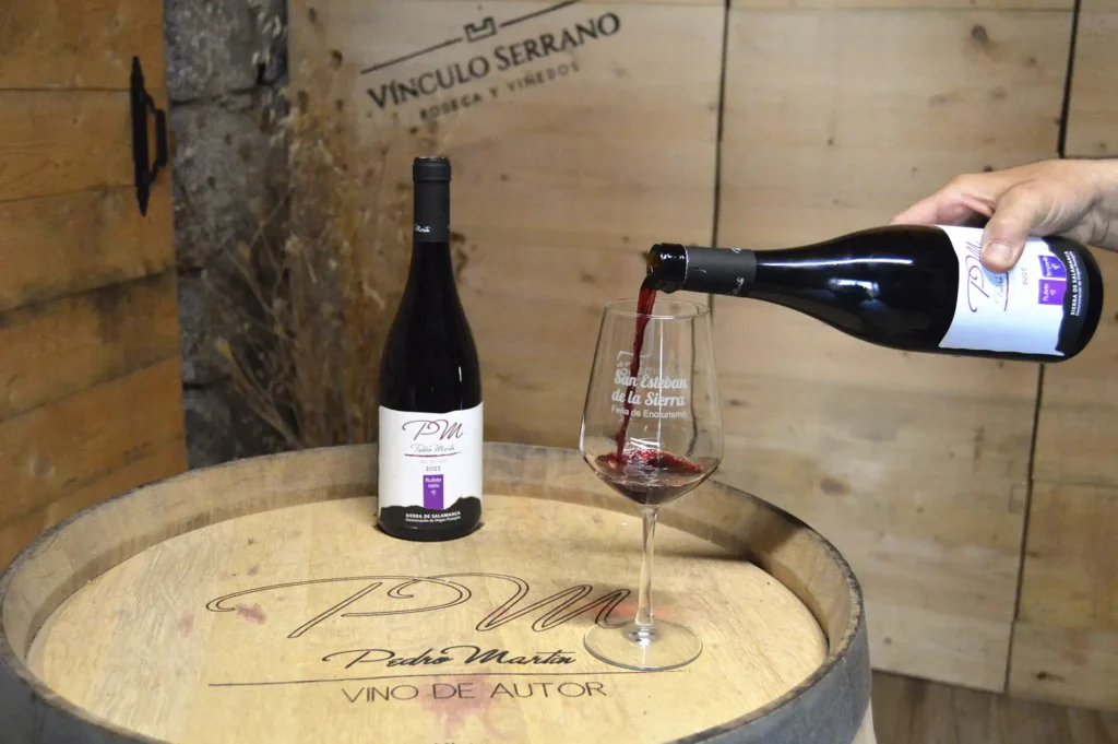 Bodega Vinculo Serrano 5